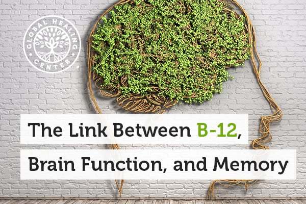 The Link Between B12, Brain Function, and Memory