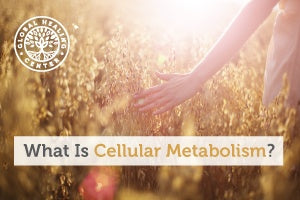 What Is Cellular Metabolism?