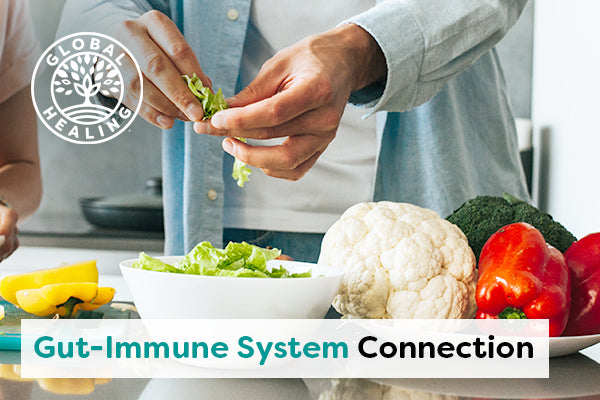 The Gut-Immune System Connection: 6 Ways to Boost Immune Health Through the Gut
