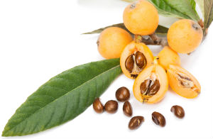 Do You Know These 5 Benefits of the Loquat Leaf?