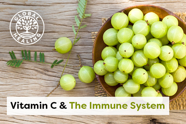 維生素 C 如何強化免疫系統